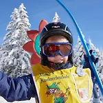 Hotel Almhof Family Und Wellness 4*