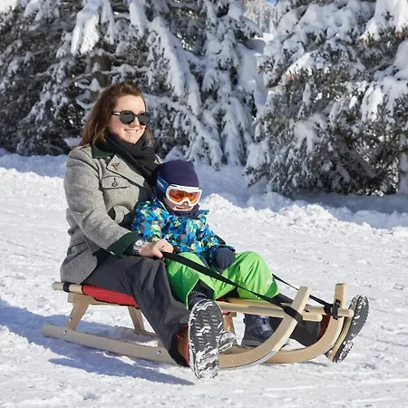 Hotel Almhof Family Und Wellness Gerlos