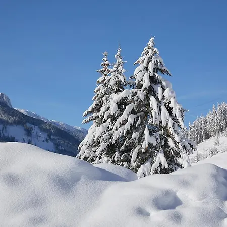 Almhof Family Und Wellness Hotell Gerlos